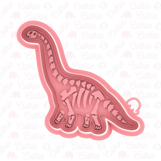 Dinosaurio cuello largo fósil