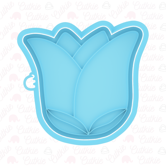 Tulipán
